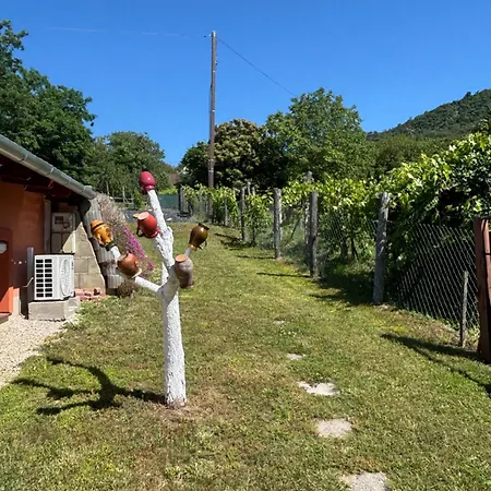 Tanuhill Garden Дом отдыха *